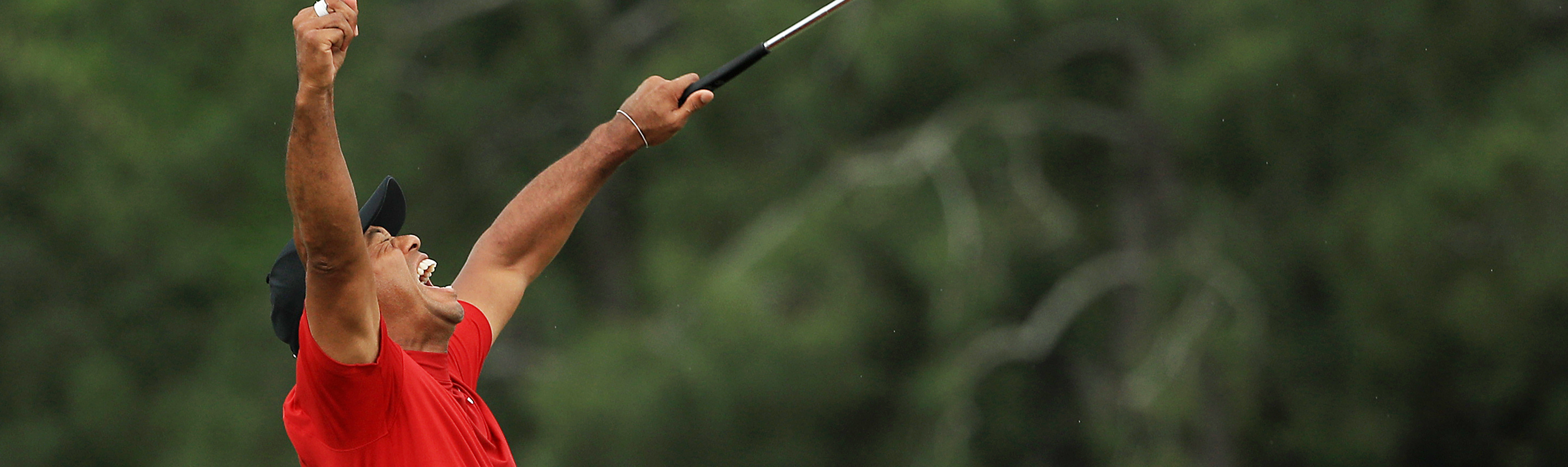 tiger woods tw logo